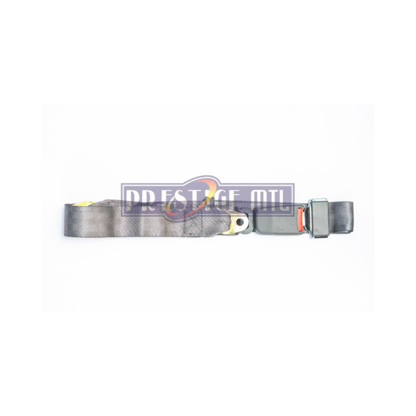 SAFETY BELT UP PRESS 2 PIN GREY