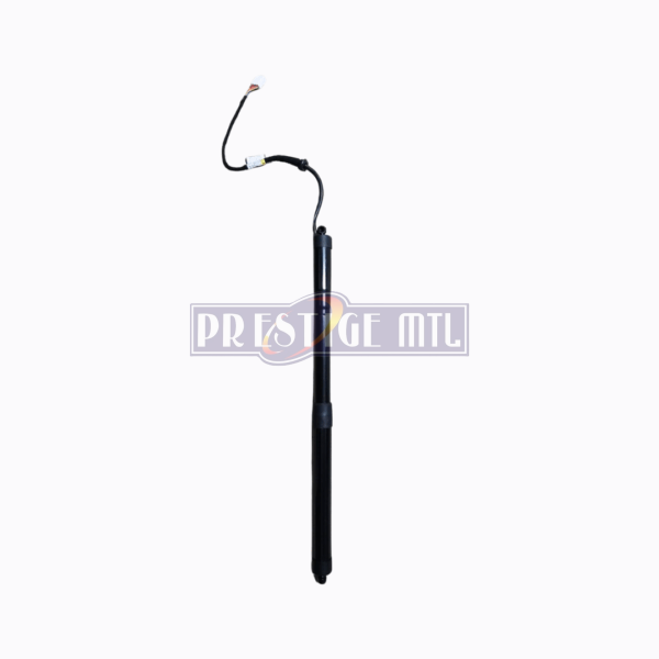 TAIL GATE RAV 4 2019 - PAIR